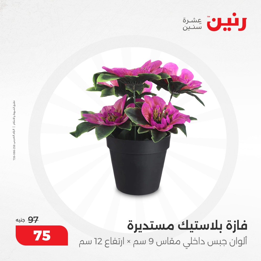 raneen offers from 10dec to 11dec 2024 عروض رنين من 10 ديسمبر حتى 11 ديسمبر 2024 صفحة رقم 34